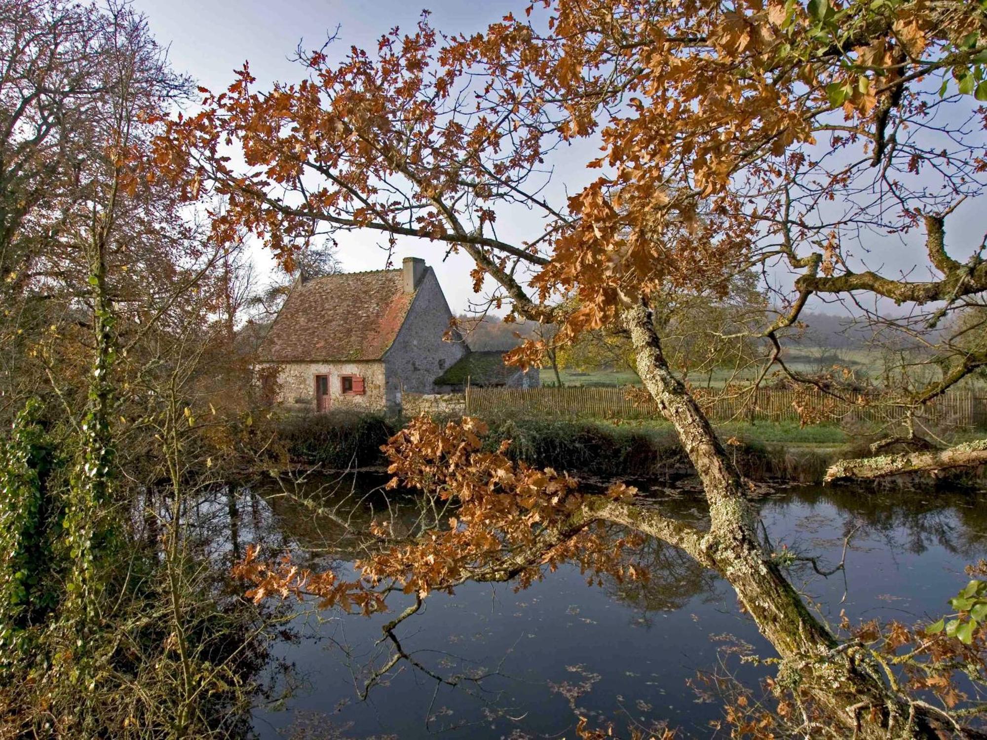 Sejour Nature Au Coeur Du Parc De La Brenne: Gite 4 Chambres, Jardin Et Terrasse, Proche De Rosnay - Fr-1-591-141 Eksteriør billede